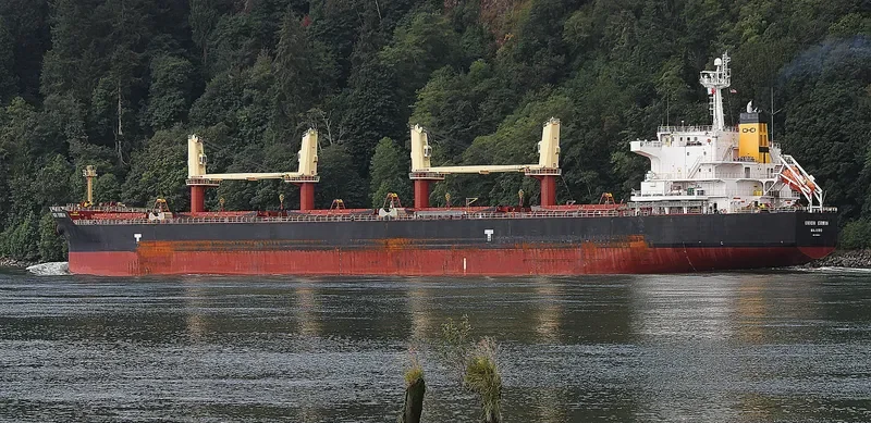 UNION ERWIN Bulk Carrier IMO 9456549 photo 2