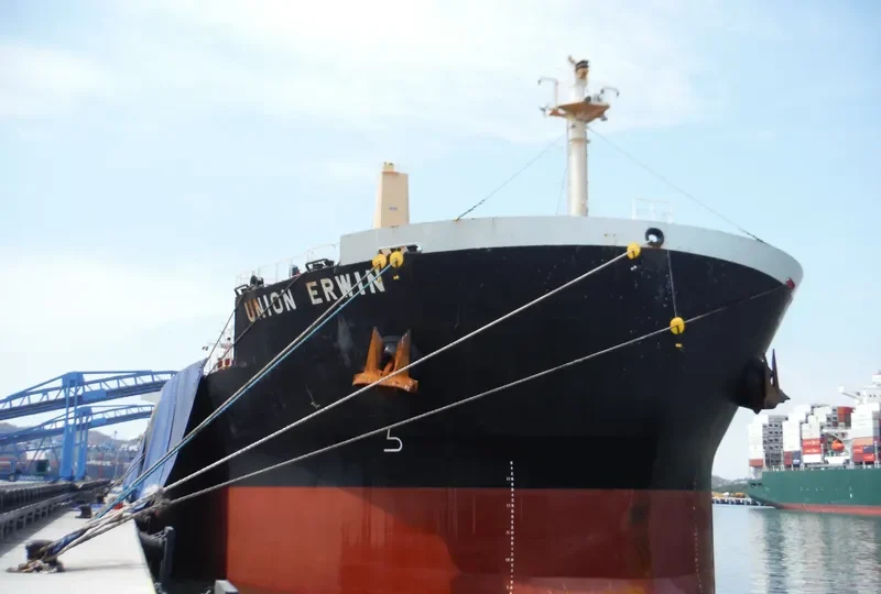 UNION ERWIN Bulk Carrier IMO 9456549 photo 7
