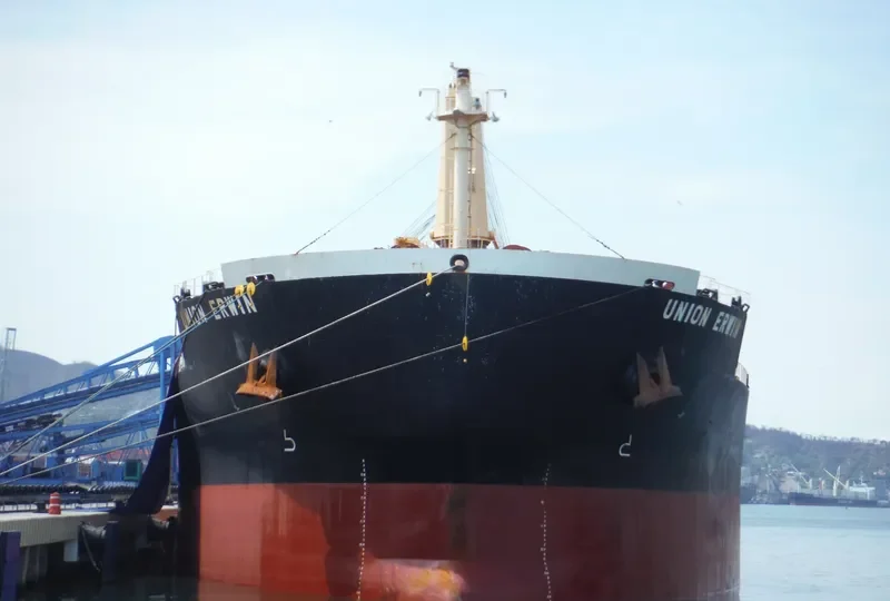 UNION ERWIN Bulk Carrier IMO 9456549 photo 9