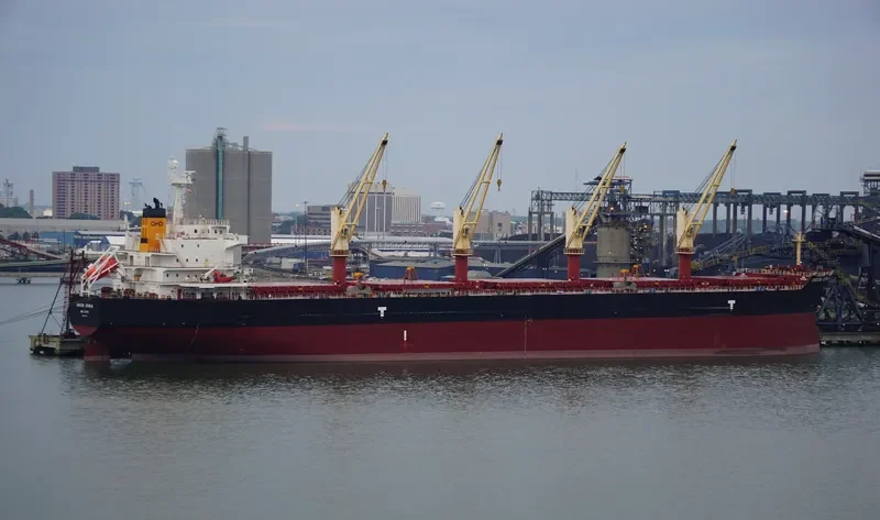 UNION ERWIN Bulk Carrier IMO 9456549 photo 10