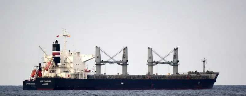 AWESOME ASHLEY Bulk Carrier IMO 9456551 photo 4