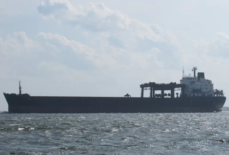 AWESOME ASHLEY Bulk Carrier IMO 9456551 photo 7