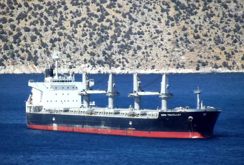 AWESOME ASHLEY Bulk Carrier IMO 9456551 photo 10