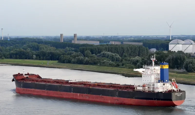 MINERAL SUBIC Bulk Carrier IMO 9456678 photo 2