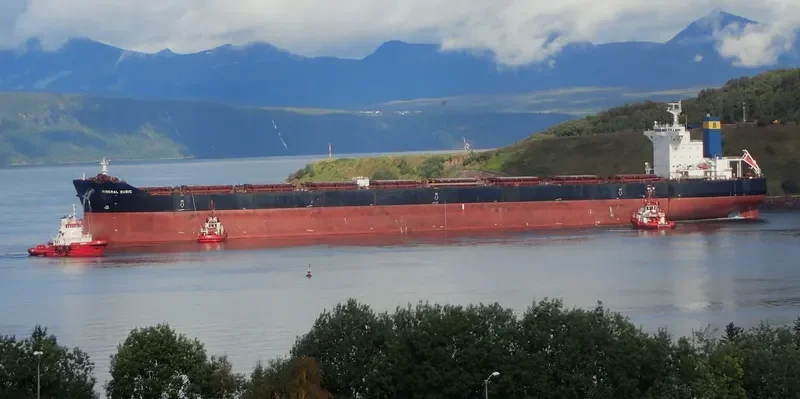 MINERAL SUBIC Bulk Carrier IMO 9456678 photo 4