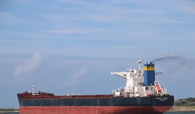 MINERAL SUBIC Bulk Carrier IMO 9456678 photo 5