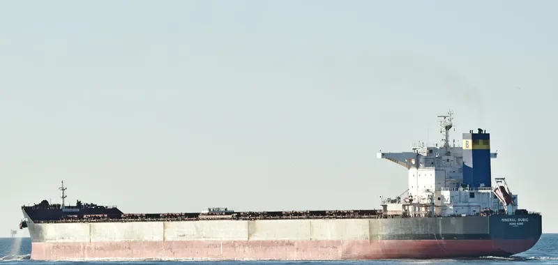 MINERAL SUBIC Bulk Carrier IMO 9456678 photo 6
