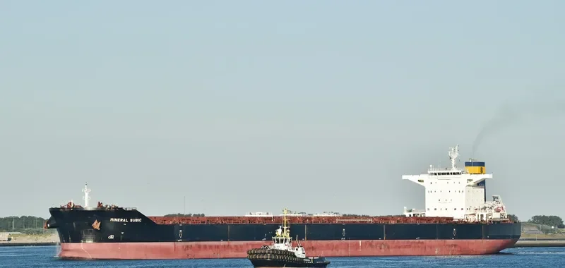 MINERAL SUBIC Bulk Carrier IMO 9456678 photo 7
