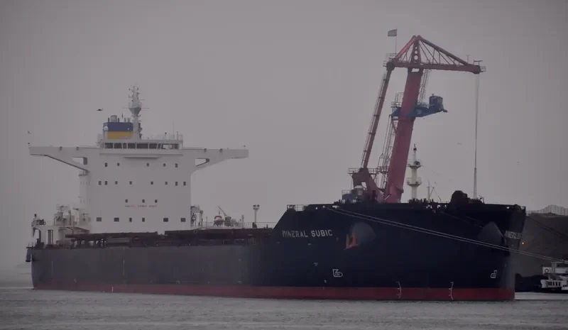 MINERAL SUBIC Bulk Carrier IMO 9456678 photo 10