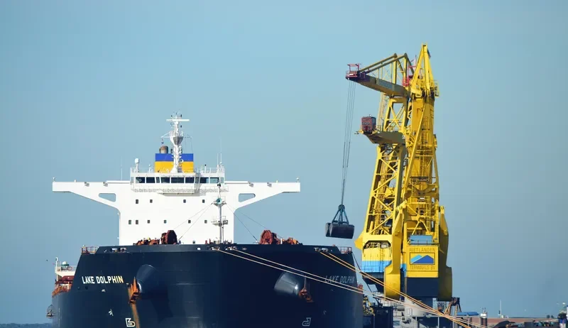 LAKE DOLPHIN Bulk Carrier IMO 9456680 photo 2
