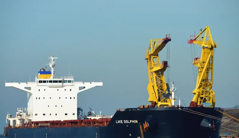LAKE DOLPHIN Bulk Carrier IMO 9456680 photo 4