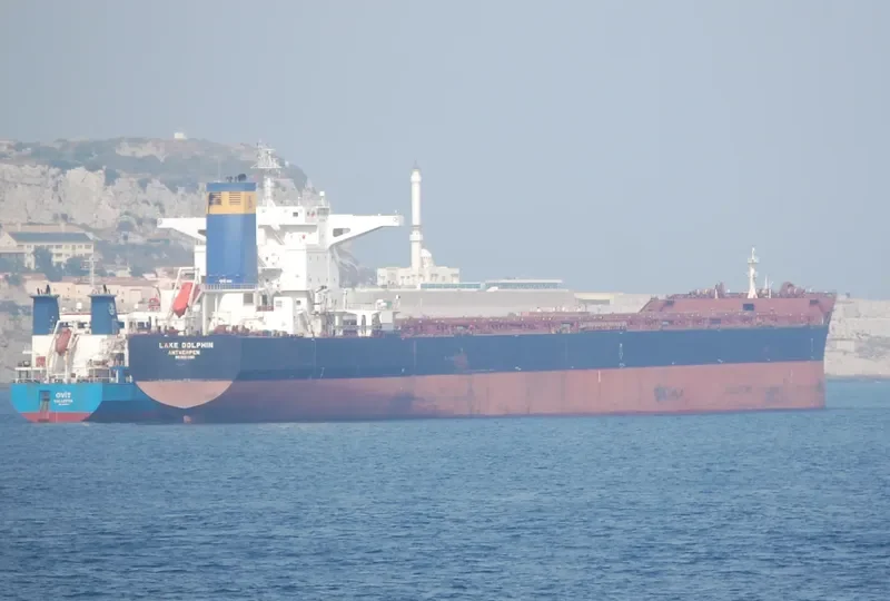 LAKE DOLPHIN Bulk Carrier IMO 9456680 photo 7