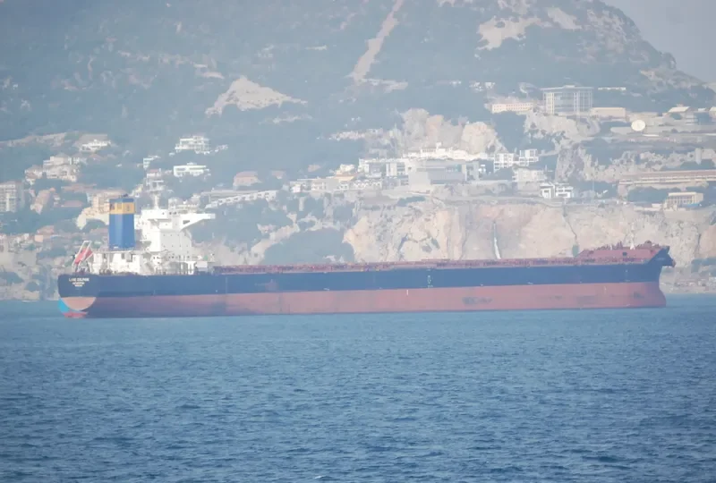 LAKE DOLPHIN Bulk Carrier IMO 9456680 photo 8