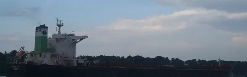 NAVIOS RAY Bulk Carrier IMO 9456692 photo 3