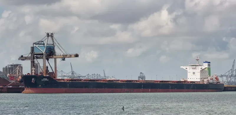 NAVIOS RAY Bulk Carrier IMO 9456692 photo 4