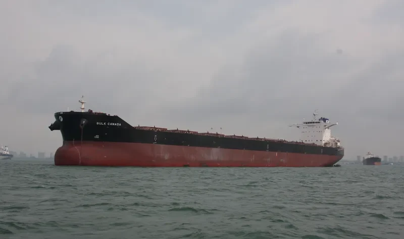 NAVIOS RAY Bulk Carrier IMO 9456692 photo 5