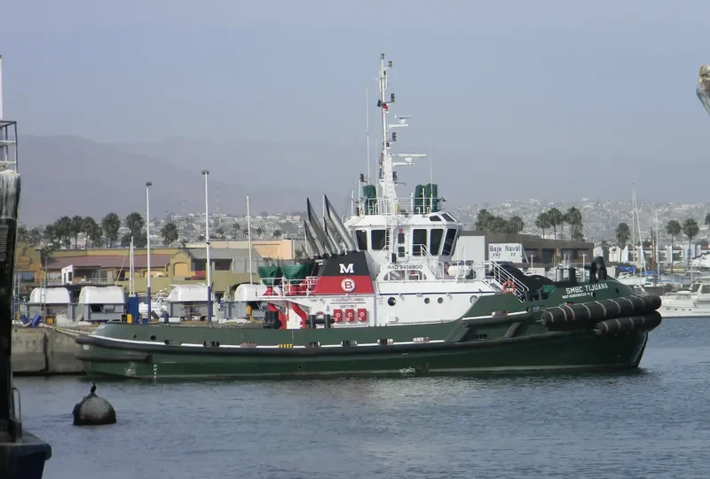 SMBC TIJUANA General Cargo IMO 9456800