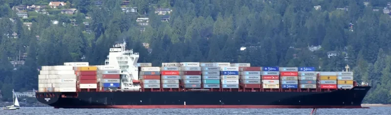 RHINE MAERSK Container Ship IMO 9456991 photo 3