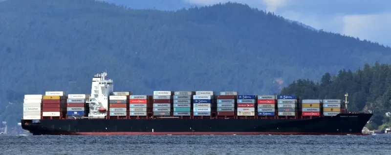 RHINE MAERSK Container Ship IMO 9456991 photo 4