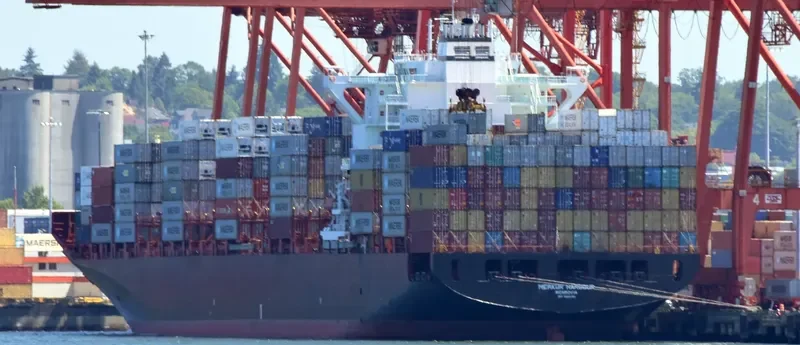 RHINE MAERSK Container Ship IMO 9456991 photo 5