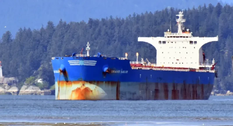 BRAVE SAILOR Bulk Carrier IMO 9457012 photo 2