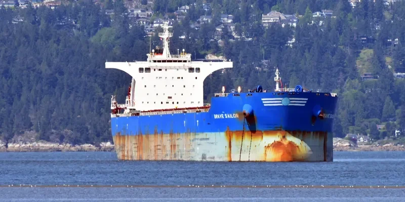 BRAVE SAILOR Bulk Carrier IMO 9457012 photo 3