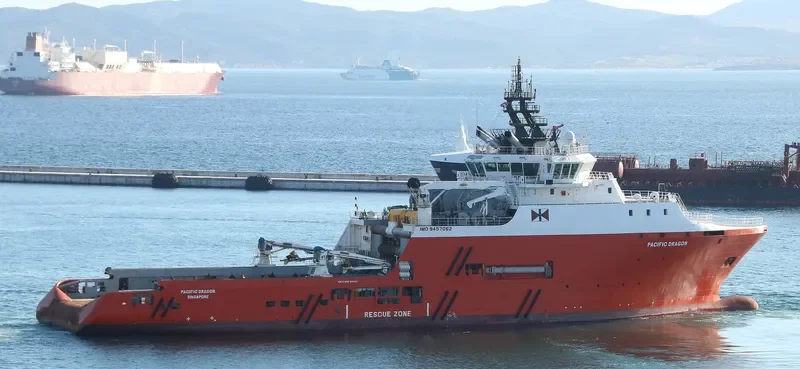 PACIFIC DRAGON General Cargo IMO 9457062 photo 8