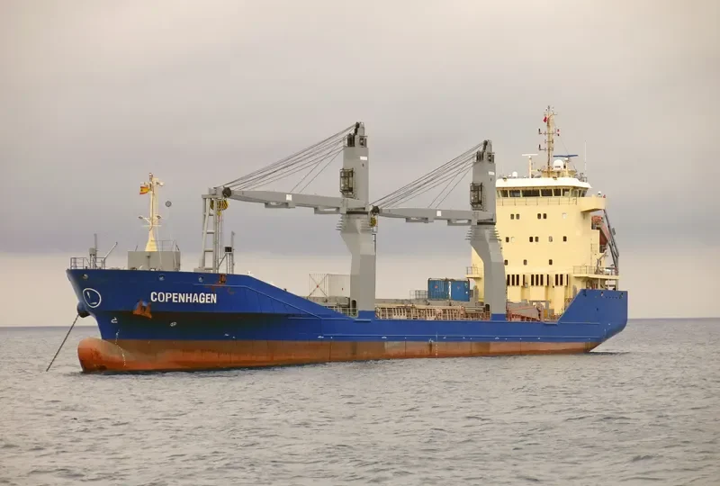 MERATUS PROJECT PRIMA General Cargo IMO 9457115 photo 3