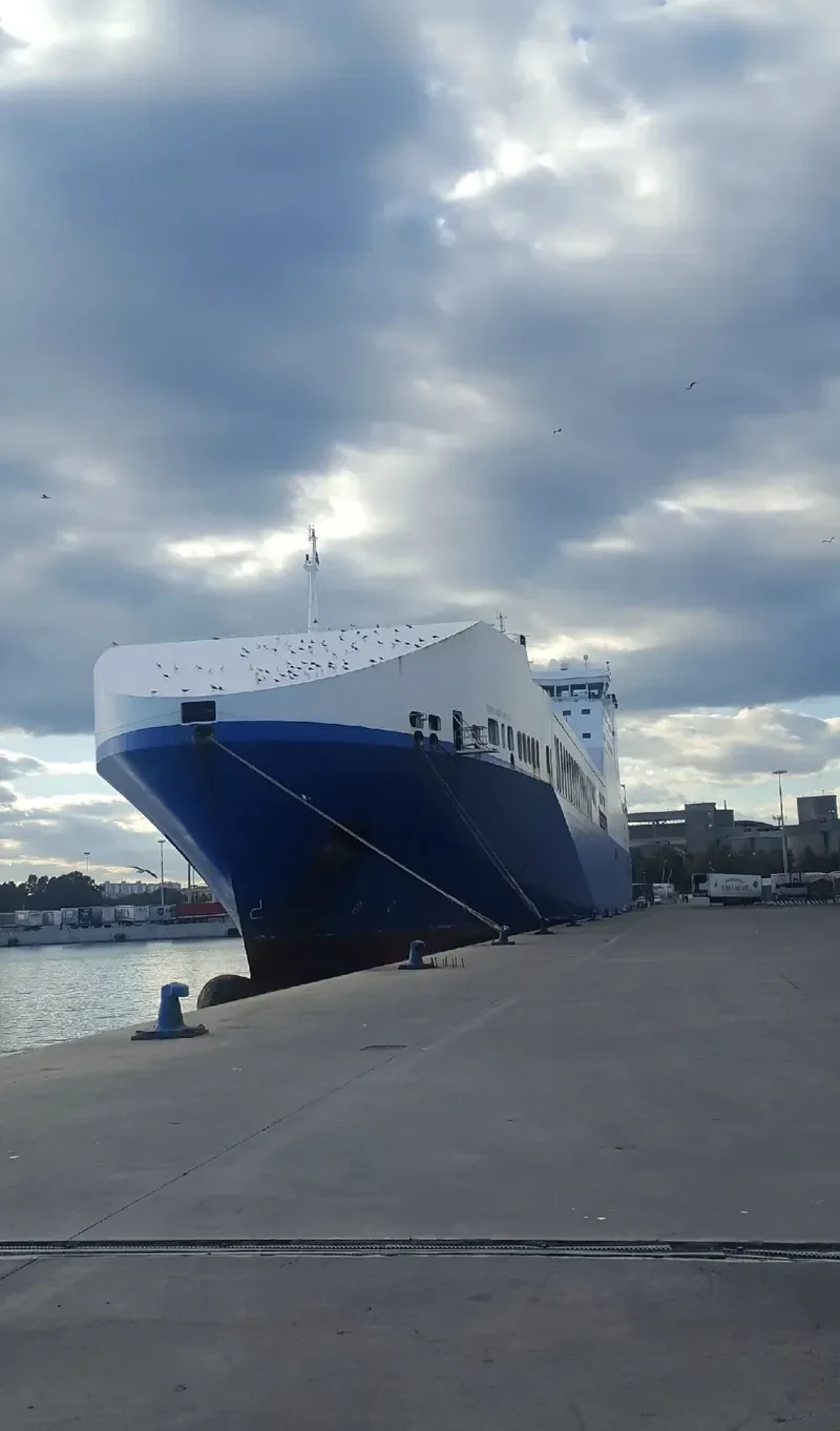 EUROCARGO SICILIA Ro-Ro IMO 9457177 photo 2