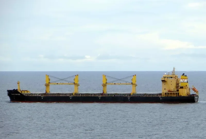 TIANJIN VENTURE Bulk Carrier IMO 9457294 photo 7