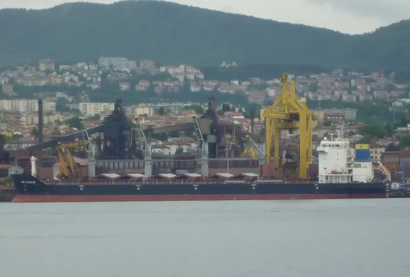 BAO GLORY Bulk Carrier IMO 9457309 photo 4