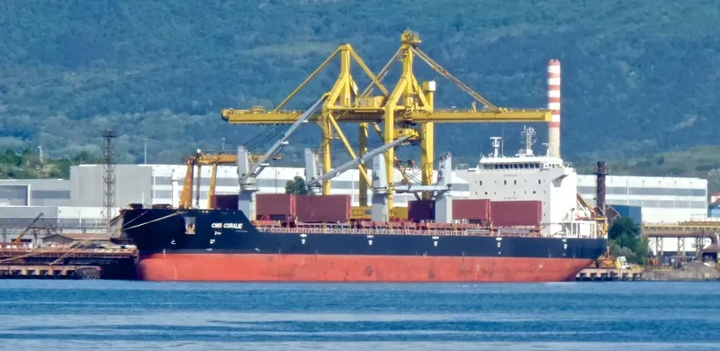 BAO GLORY Bulk Carrier IMO 9457309 photo 7