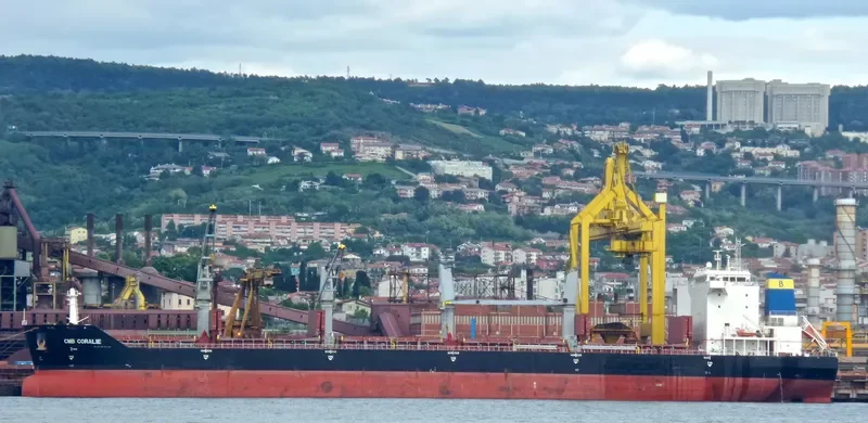 BAO GLORY Bulk Carrier IMO 9457309 photo 8