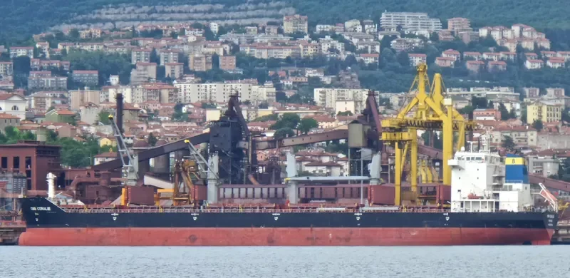 BAO GLORY Bulk Carrier IMO 9457309 photo 9