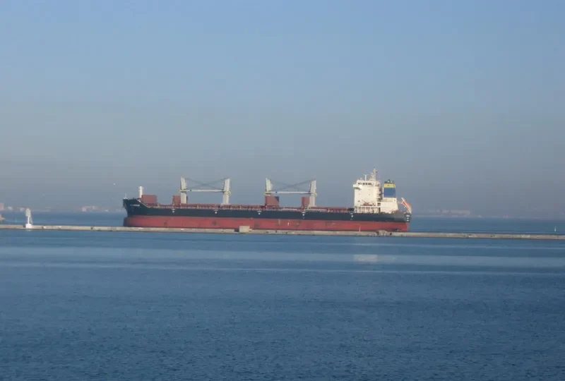 BAO GLORY Bulk Carrier IMO 9457309 photo 10