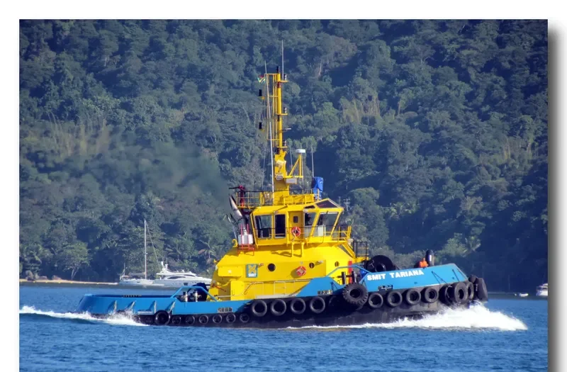 SMIT TARIANA General Cargo IMO 9457347 photo 2