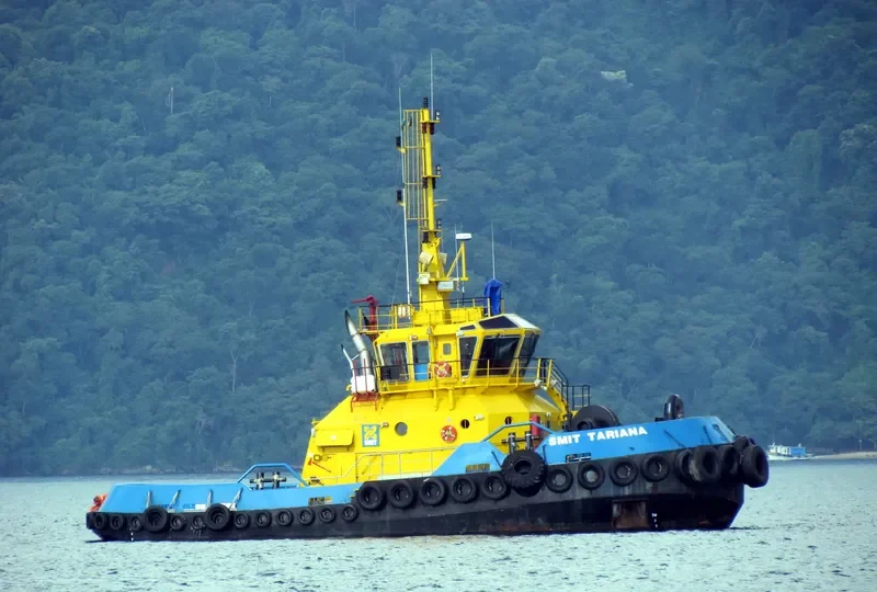 SMIT TARIANA General Cargo IMO 9457347 photo 3