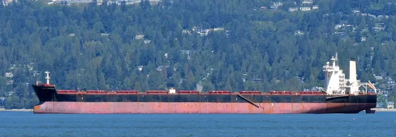 BATTERSEA Bulk Carrier IMO 9457402 photo 2