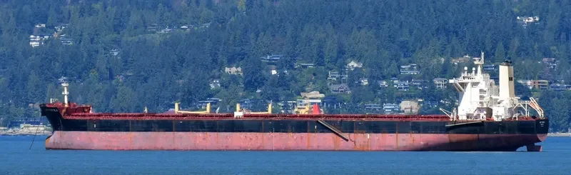 BATTERSEA Bulk Carrier IMO 9457402 photo 3