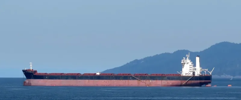 BATTERSEA Bulk Carrier IMO 9457402 photo 6