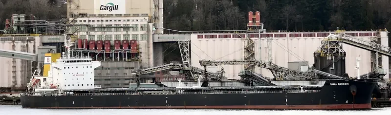 STAR GENESIS Bulk Carrier IMO 9457464 photo 8