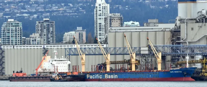 STAR GENESIS Bulk Carrier IMO 9457464 photo 10