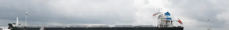 SHUANG XI Bulk Carrier IMO 9457842 photo 6
