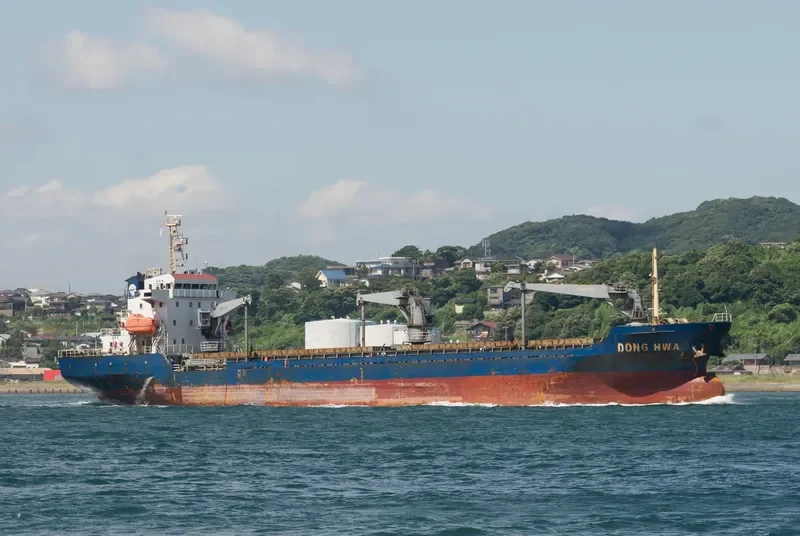 DONG SHUN General Cargo IMO 9458107 photo 2