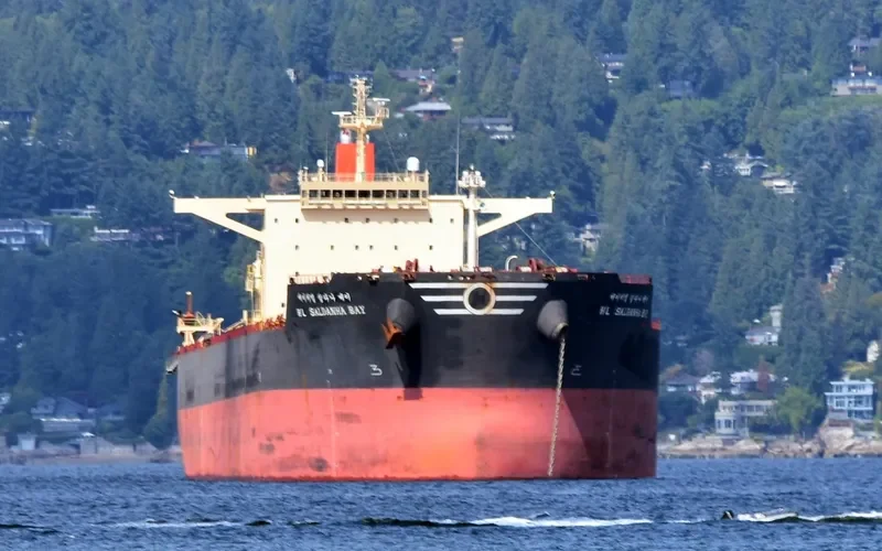 HL SALDANHA BAY Bulk Carrier IMO 9458377
