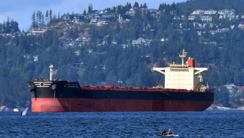 HL SALDANHA BAY Bulk Carrier IMO 9458377 photo 2