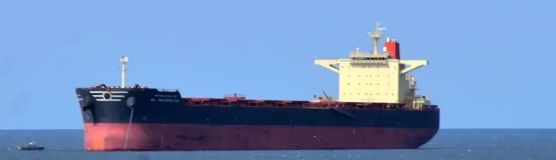 HL SALDANHA BAY Bulk Carrier IMO 9458377 photo 3