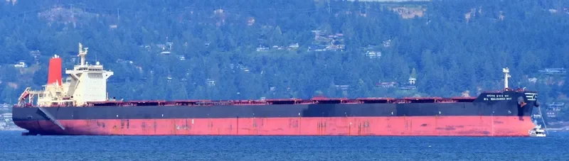 HL SALDANHA BAY Bulk Carrier IMO 9458377 photo 4