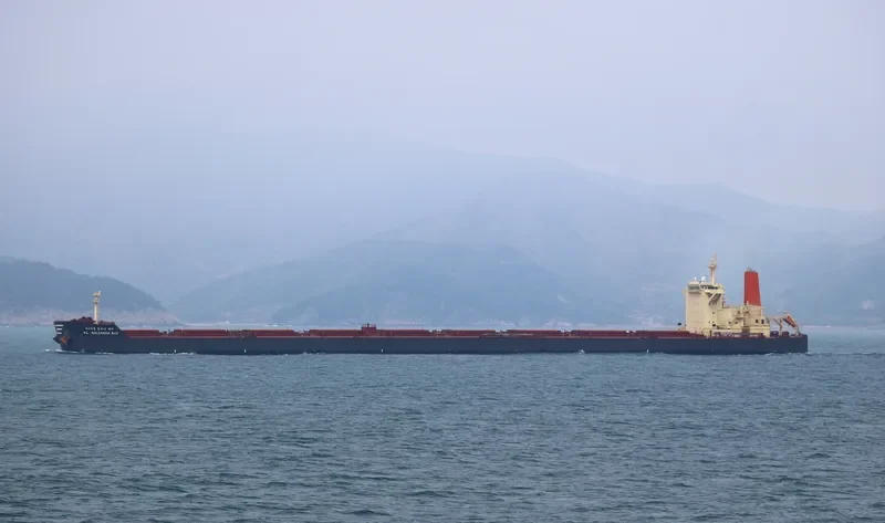 HL SALDANHA BAY Bulk Carrier IMO 9458377 photo 6