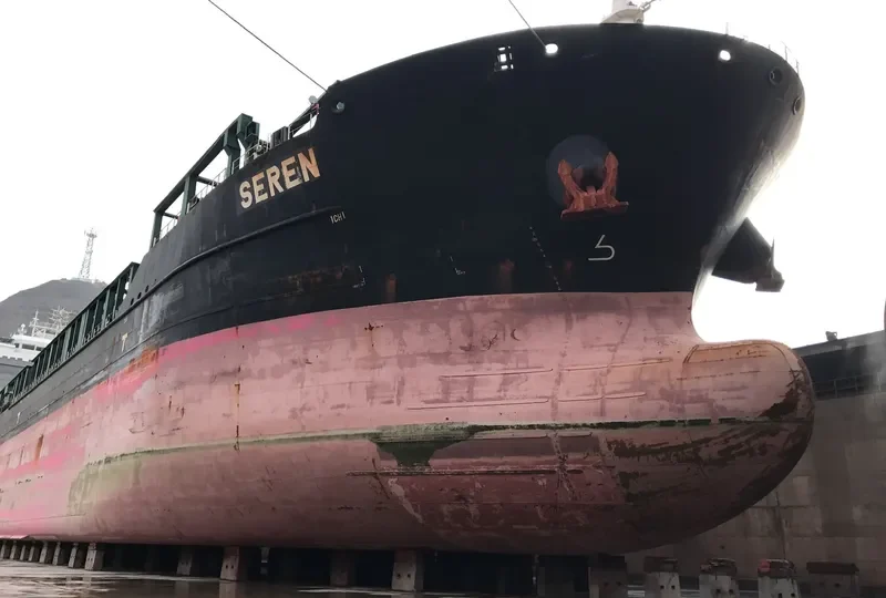 SEREN General Cargo IMO 9458391 photo 314